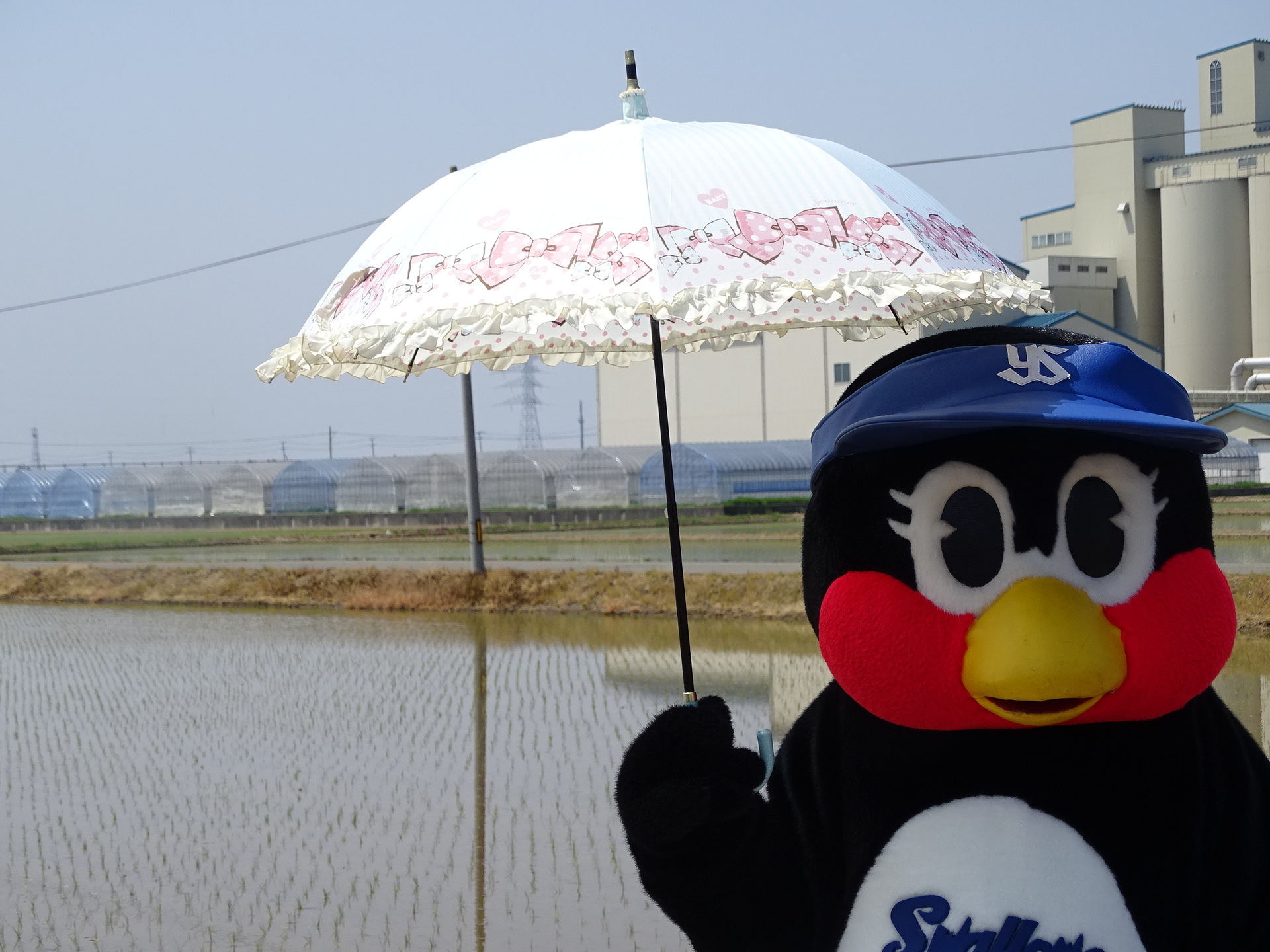 DSC02434.JPG