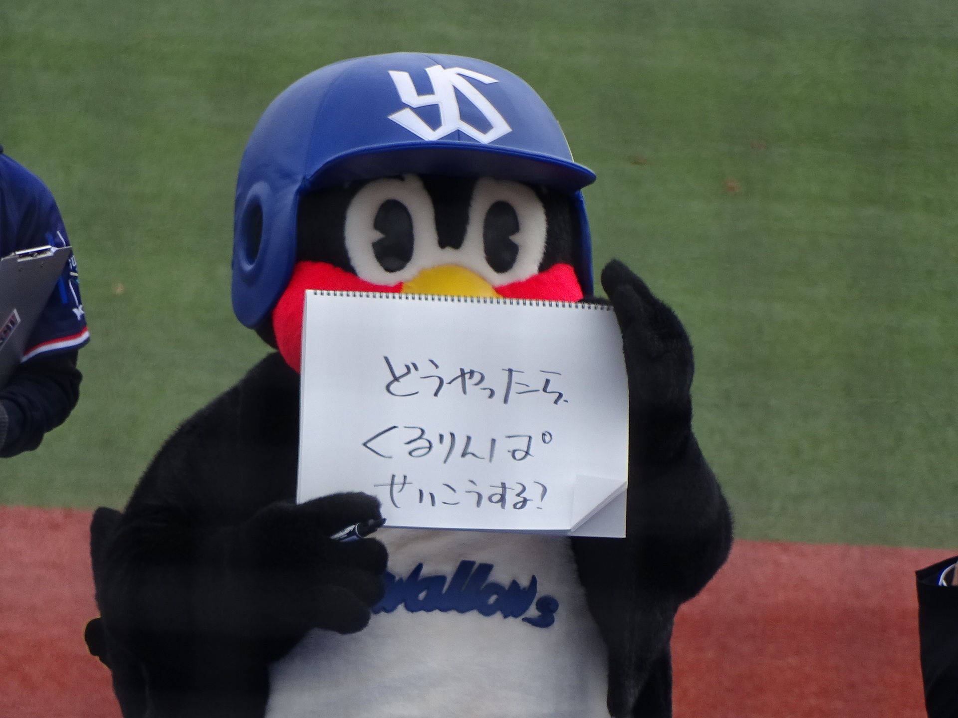 SWALLOWS (23): 試合見聞LOG -東京ヤクルトスワローズ応援ブログ-
