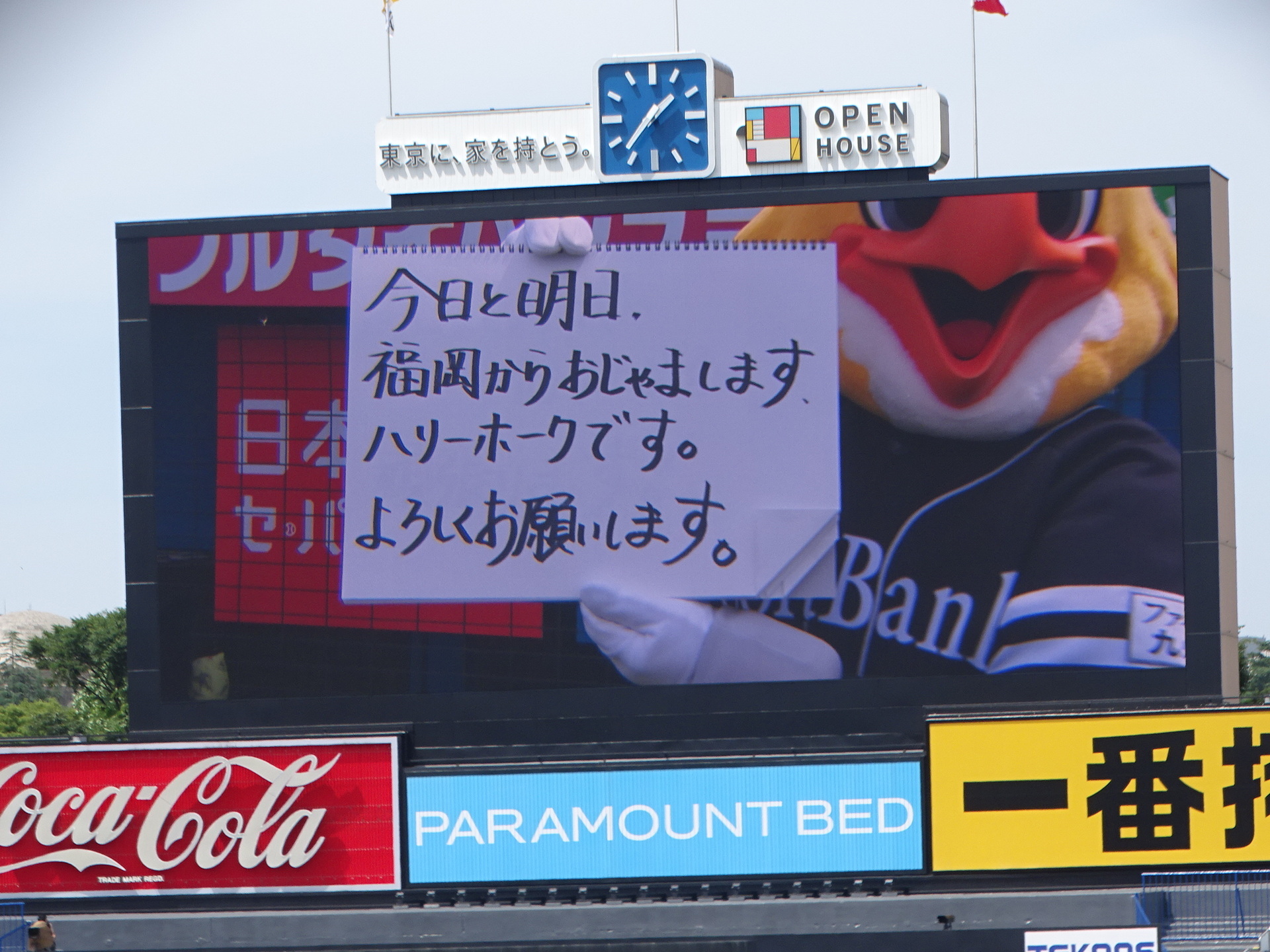 DSC07434.JPG