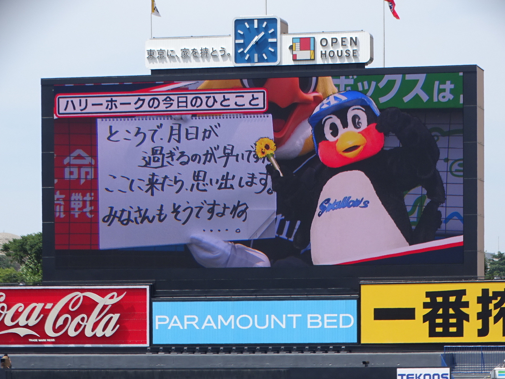 DSC07436.JPG