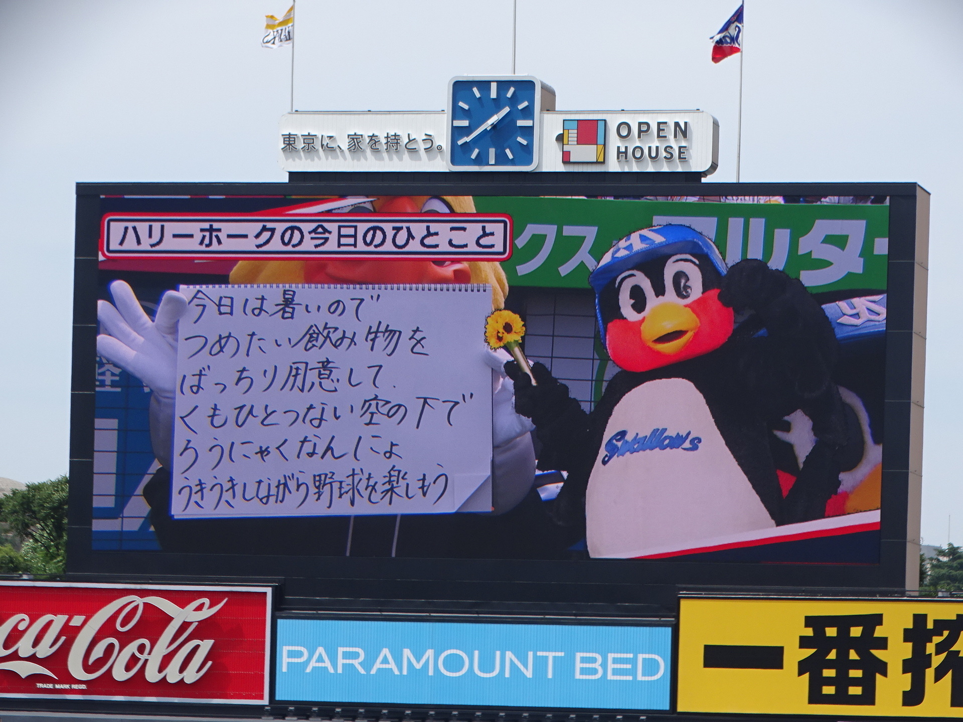 DSC07449.JPG