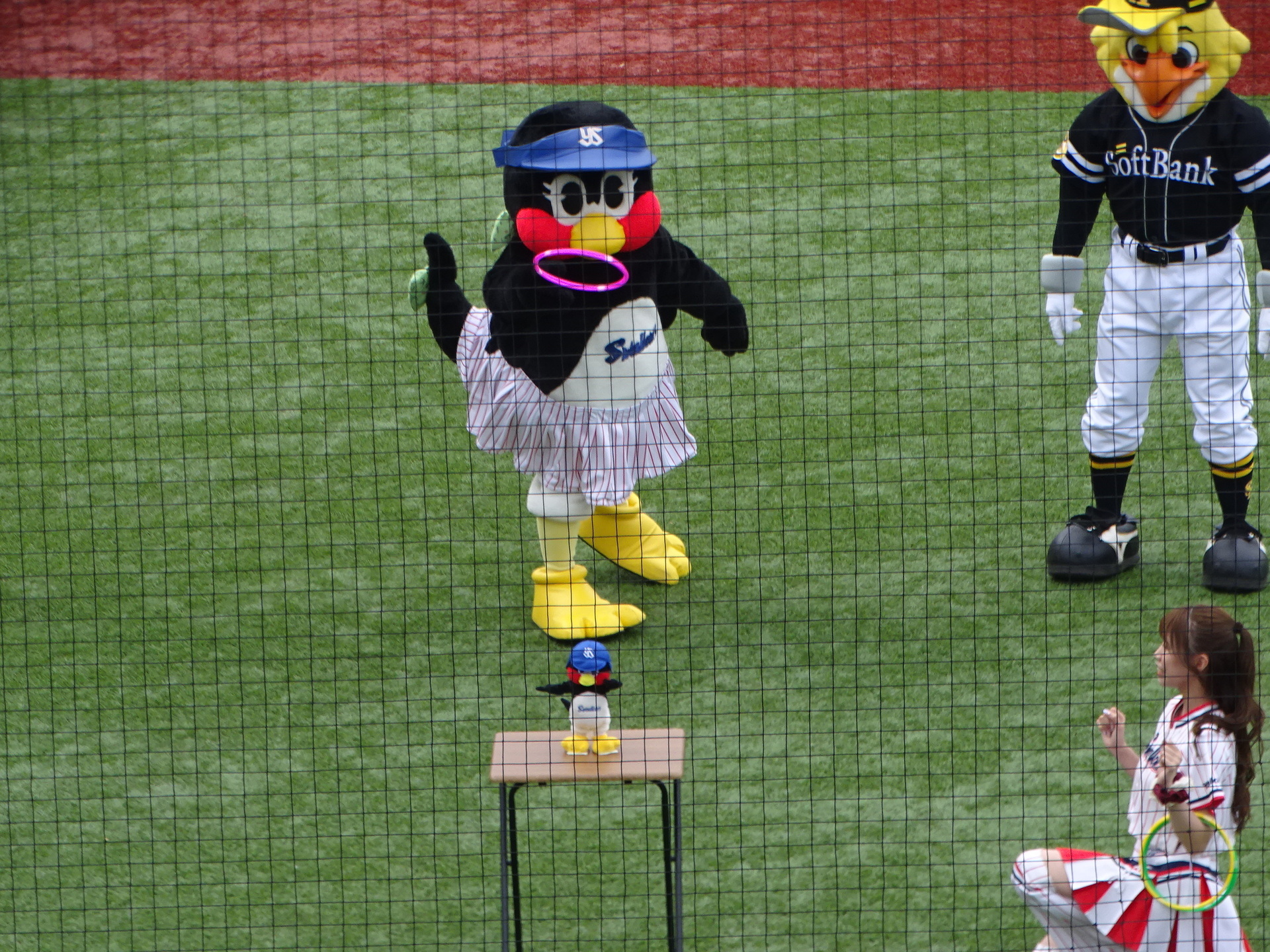 DSC07617.JPG