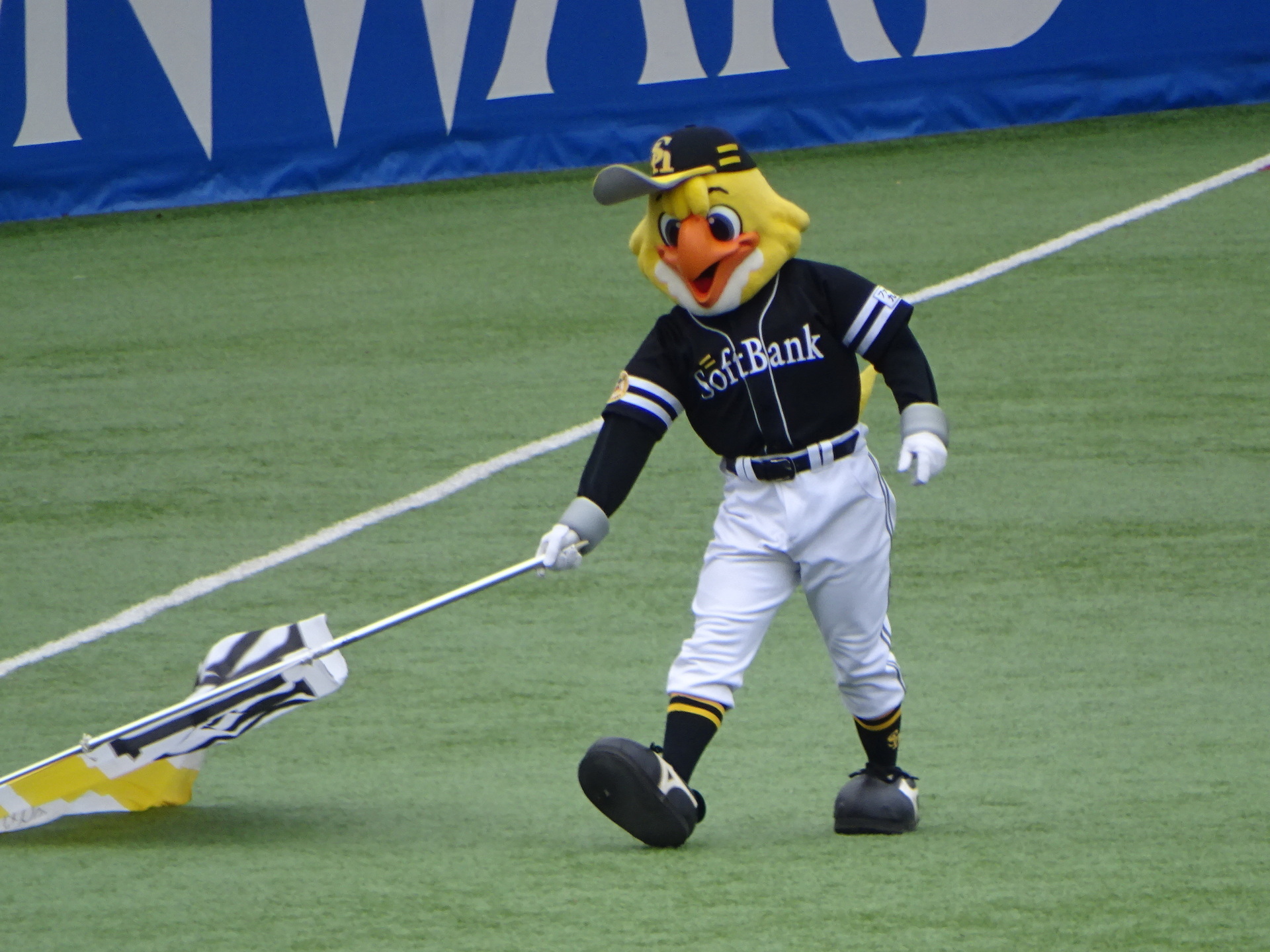 DSC07657.JPG