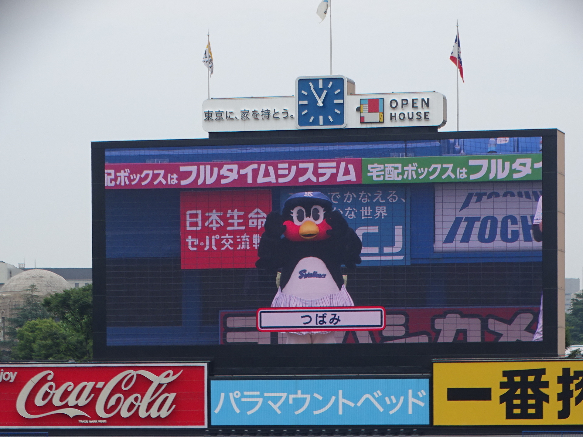 DSC07686.JPG
