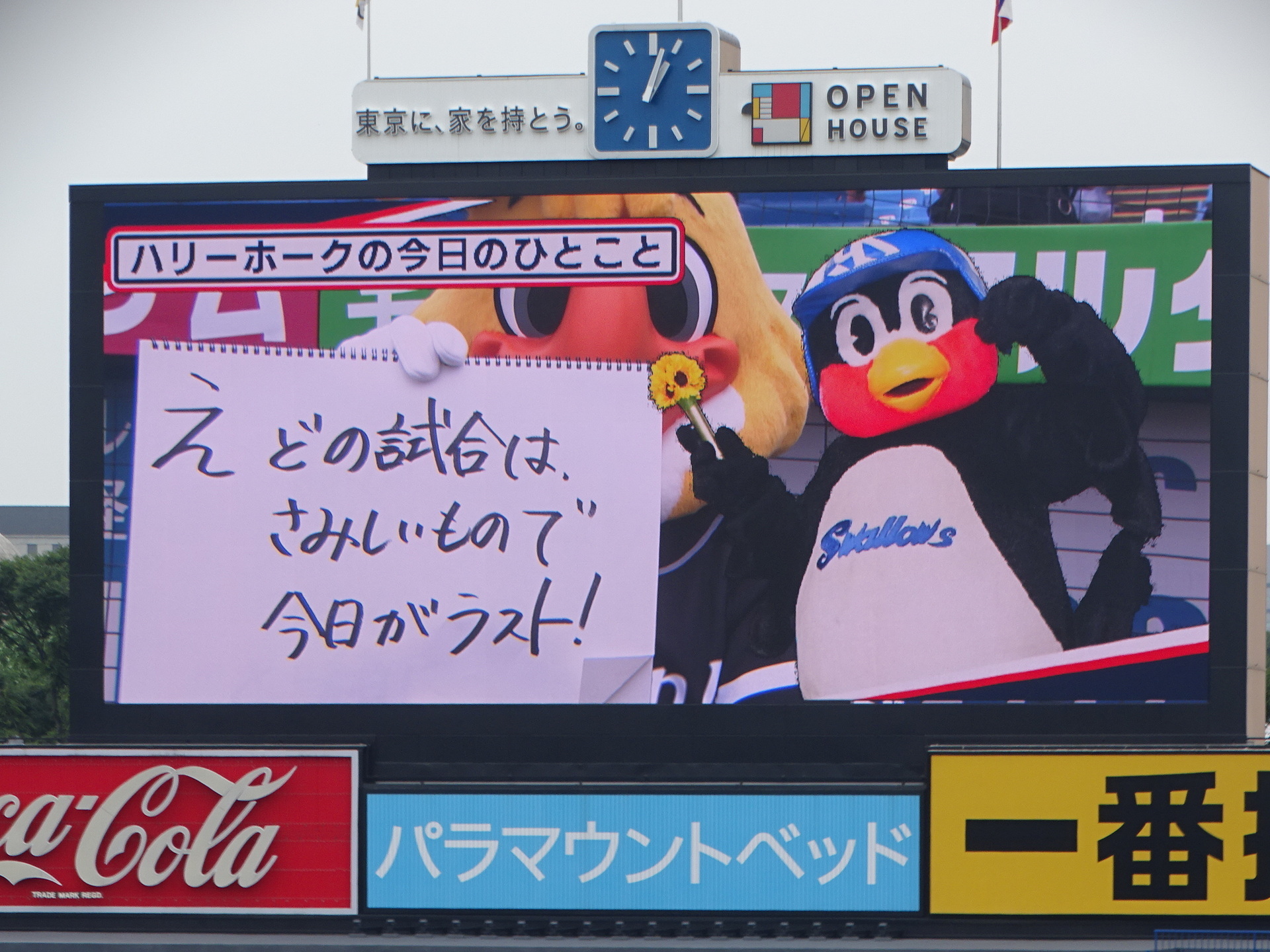 DSC07698.JPG