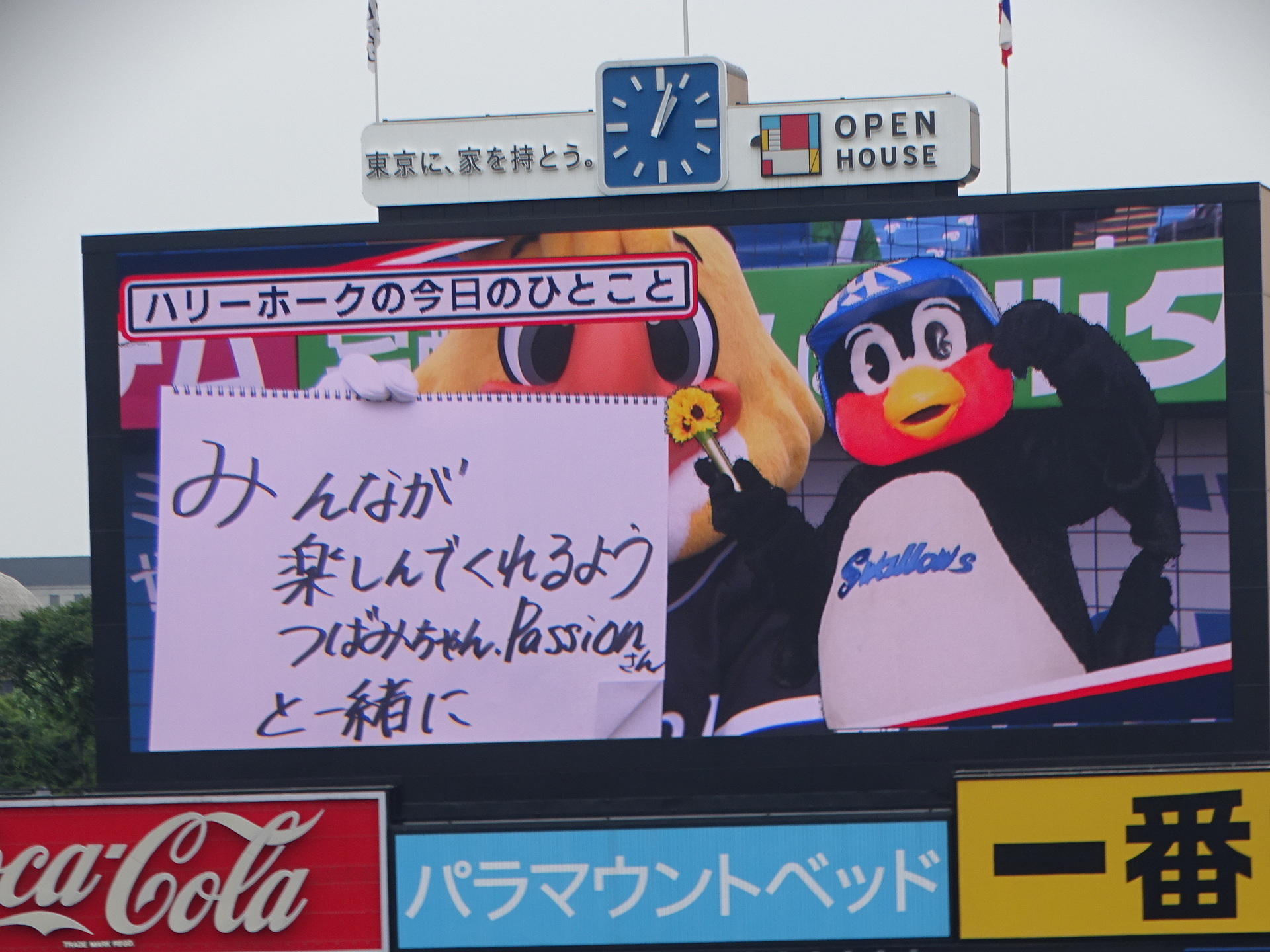 DSC07699.JPG