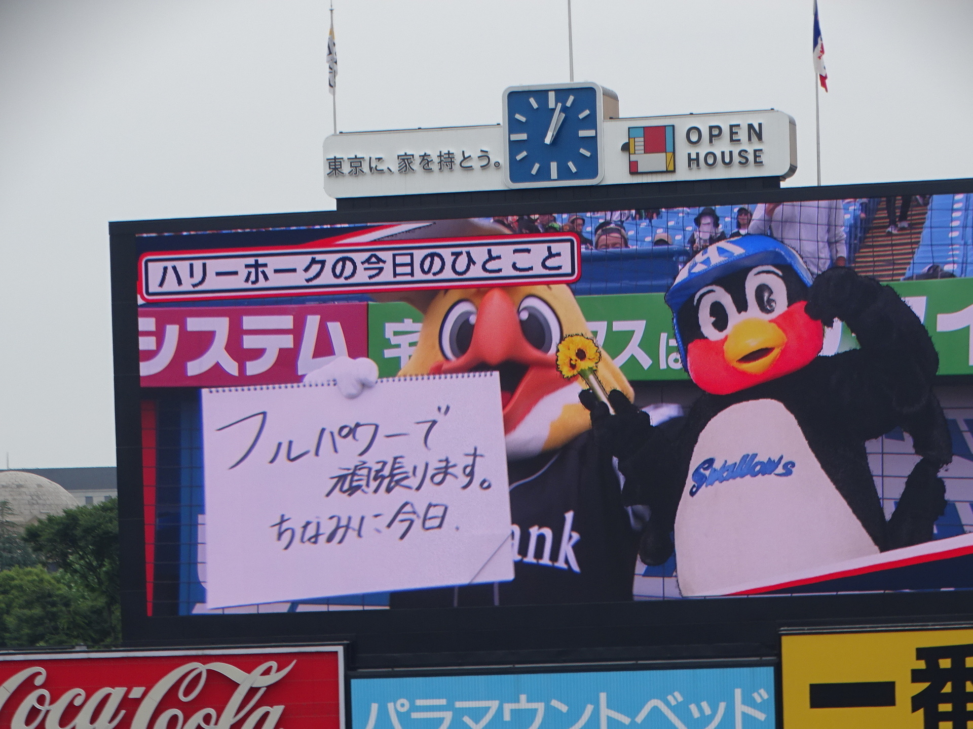 DSC07700.JPG
