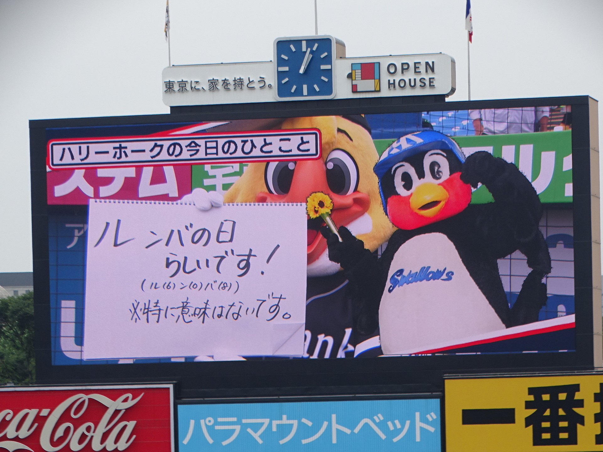 DSC07701.JPG
