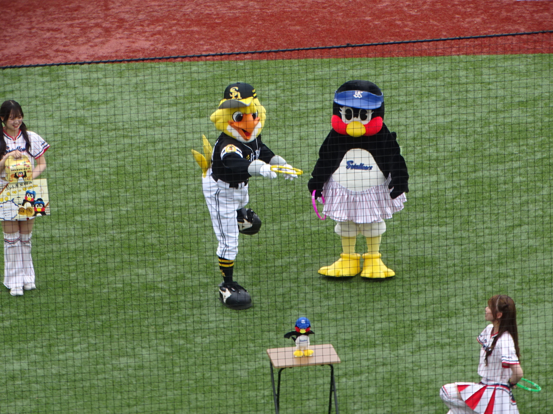 DSC07909.JPG
